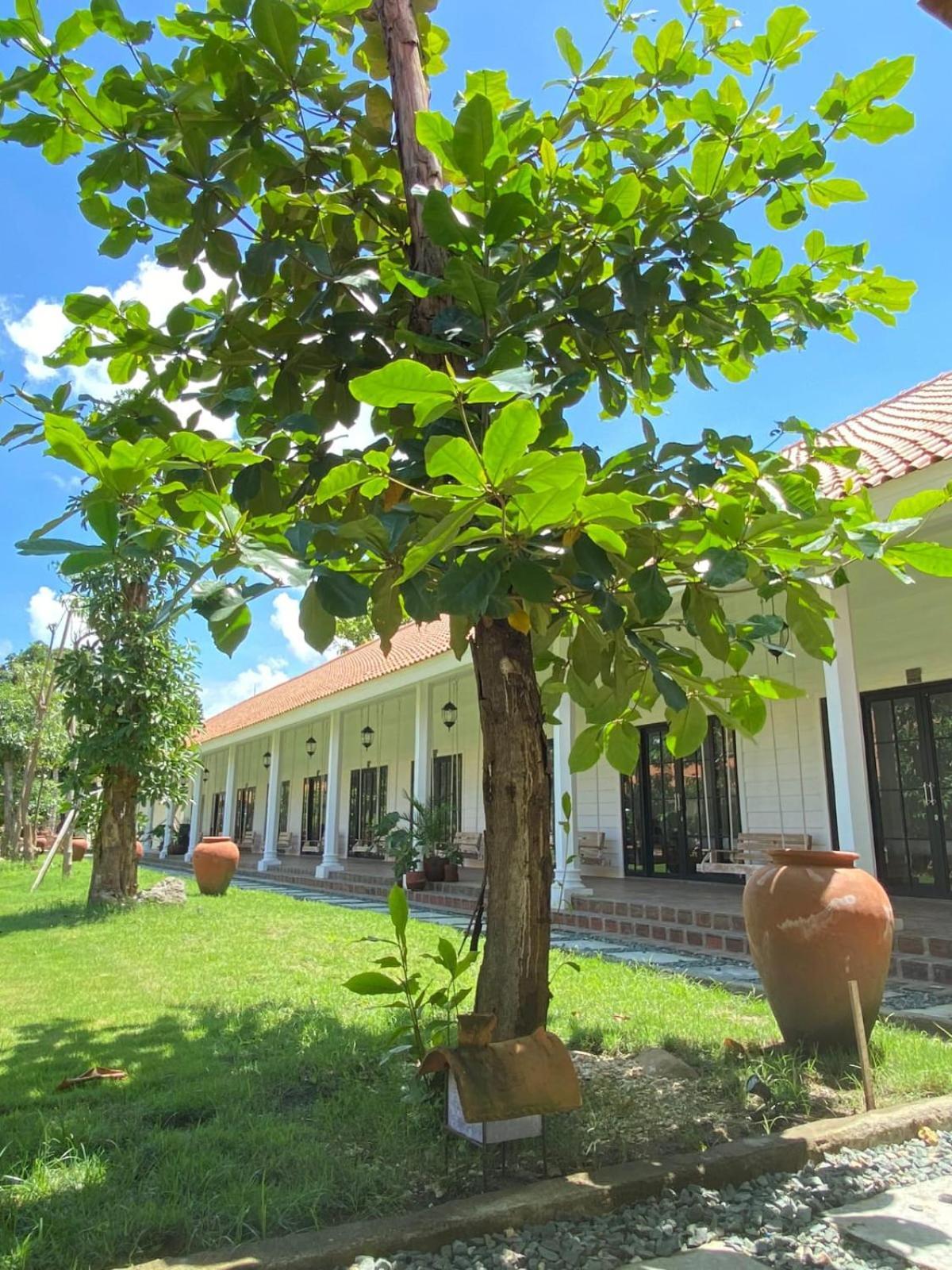 Pasir Putih Resort & Resto Maluk Dış mekan fotoğraf
